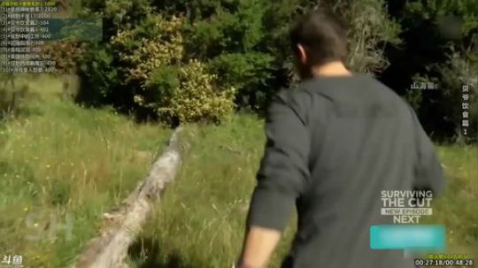 户外遛狗王飞哥发布了一个斗鱼视频2019-04-26