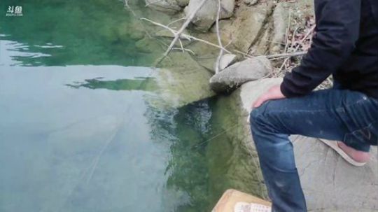 水库收鳜鱼钓。 2019-04-26 16点场