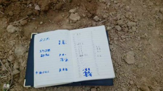 一年一度西瓜苗冠名了哦。 2019-04-26 09点场