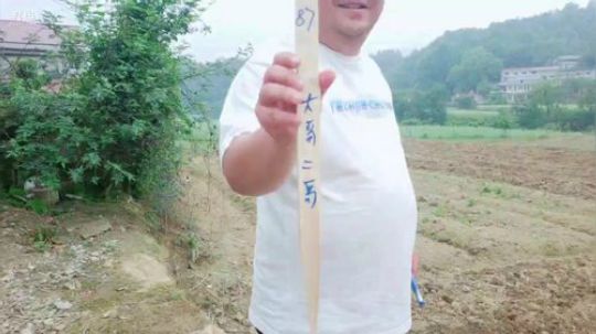 一年一度西瓜苗冠名了哦。 2019-04-26 11点场