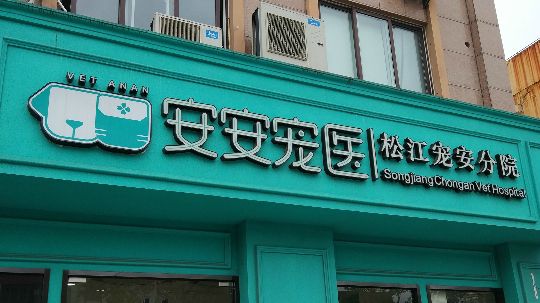 拜访松江安安宠物医院公益医院