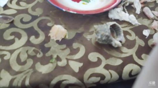 树懒熊:来，看海吧，今天户外 2019-04-26 12点场