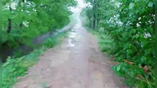 下雨了！货会多点吗？ 2019-04-21 07点场