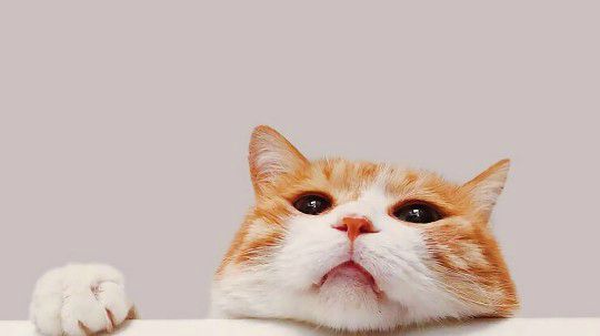 jason林柔_好的标题,能吸引更多关注_斗鱼视频 - 最6的弹幕视频网站