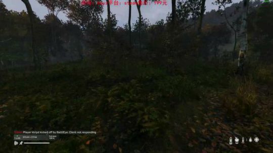 dayz0.12大冒险 2019-04-27 15点场