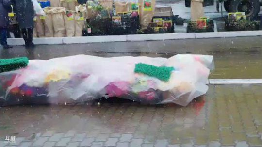 好朋友们早上好。 2019-04-27 12点场