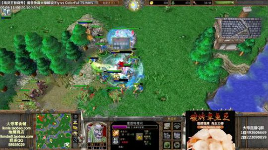 我在斗鱼看大帝LioN直播魔兽争霸
