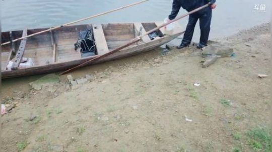 水库鱼货多多多。 2019-04-28 10点场