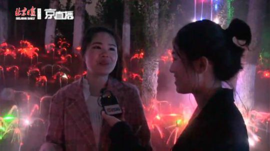 夜游世园会，探秘光影奇幻森林 2019-04-29 19点场