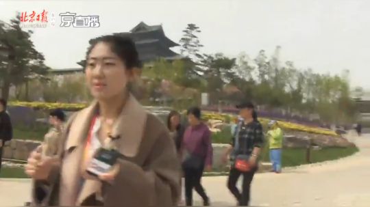 直播世园会！感受万花之园的万千魅力 2019-04-29 13点场