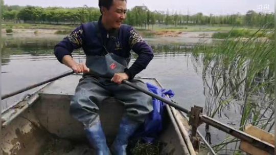 龙马精神之神笔马龙发布了一个斗鱼视频2019-04-29
