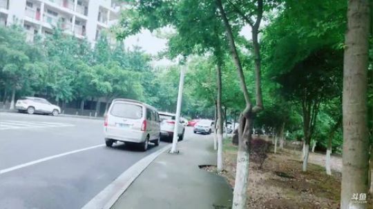 姑：桂林山水甲天下，阳朔走起 2019-04-28 13点场