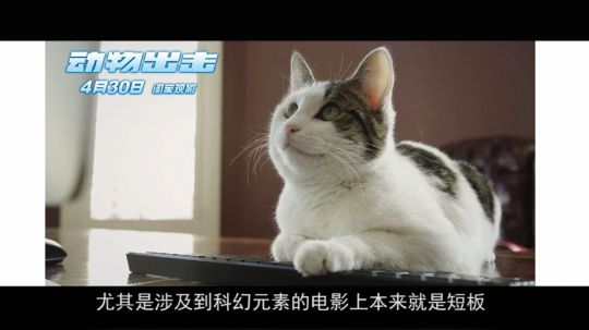 本周两部悬疑片，国内VS国外，我赌它赢！