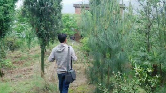 仙岛湖，鱼吧扫描二维码下载游戏 2019-04-30 12点场