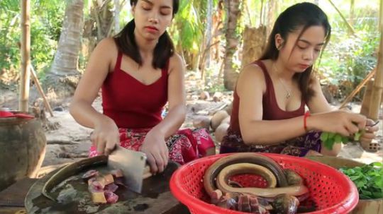 【荒野姐妹】~小姐姐看到这东西~开心的笑了~