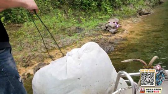 仙岛湖，鱼吧扫描二维码下载游戏 2019-04-30 16点场