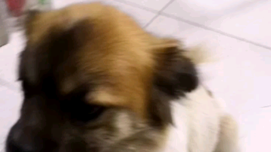 早说赖皮可能就属他最赖皮，就要来这里[抠鼻][抠鼻][抠鼻]