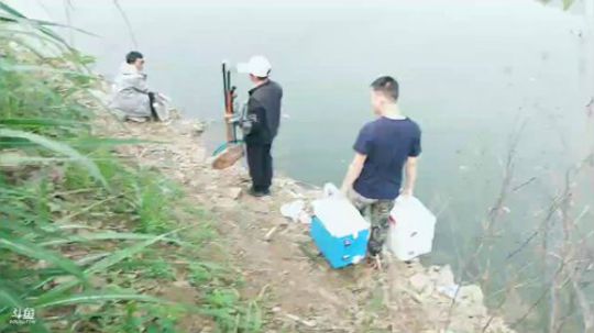 崇阳水库钓鲢鳙 2019-05-01 08点场