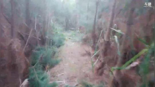 网络卡，调好开播鱼吧扫描二维码下载游戏 2019-05-01 18点场