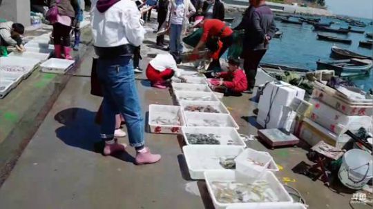 西北老狼哥哥发布了一个斗鱼视频2019-05-01