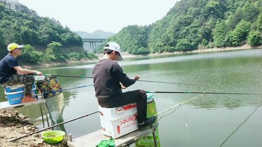 崇阳水库钓鲢鳙 2019-05-01 10点场