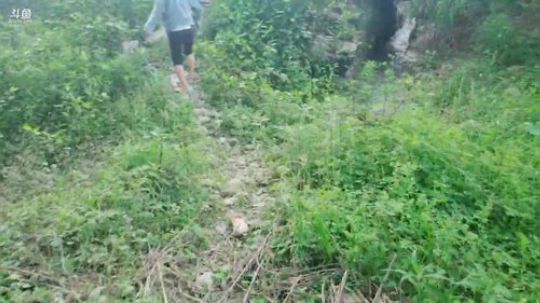 哆啦爱梦梦发布了一个斗鱼视频2019-05-01