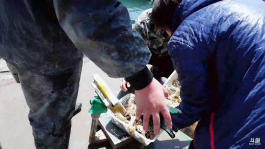 西北老狼哥哥发布了一个斗鱼视频2019-05-01