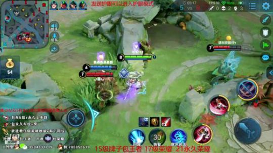 国服第一李白带粉五排 2019-05-02 01点场