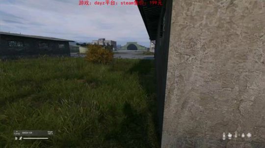 dayz0.12大冒险 2019-05-01 19点场