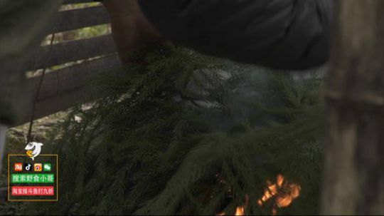 哆啦爱梦梦发布了一个斗鱼视频2019-05-02