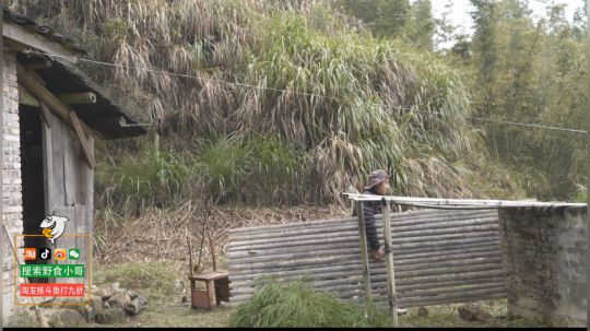 哆啦爱梦梦发布了一个斗鱼视频2019-05-02