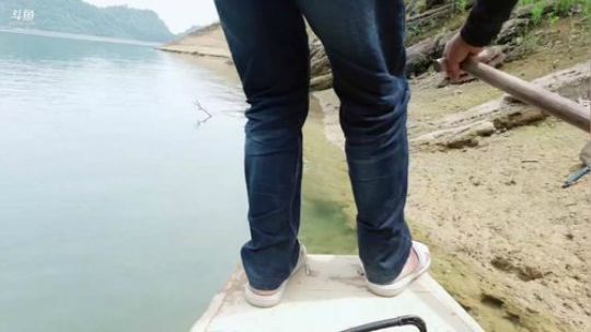 还账tv不弄150斤鱼不回家。 2019-05-02 10点场