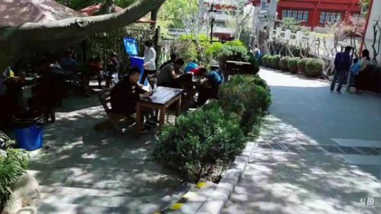 龙马精神丶老狼哥发布了一个斗鱼视频2019-05-02