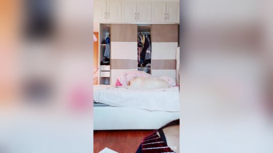 伤心hh发布了一个斗鱼视频2019-05-02