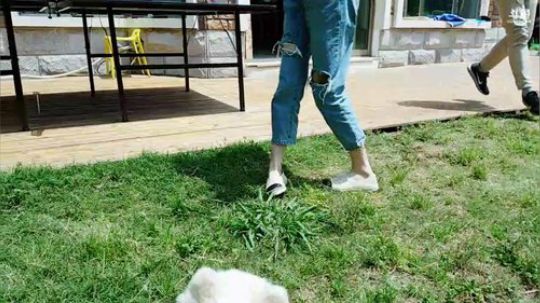 丿Good丶发布了一个斗鱼视频2019-05-02