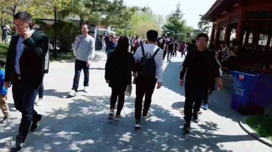 龙马精神丶老狼哥发布了一个斗鱼视频2019-05-02