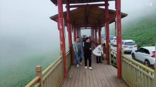 望山国际走起(≧ω≦)/ 2019-05-03 14点场