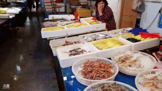 西北老狼哥哥发布了一个斗鱼视频2019-05-03