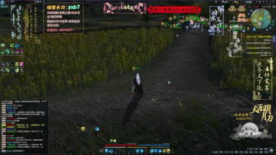 在水一方，梵海惊鸿。 2019-05-03 16点场