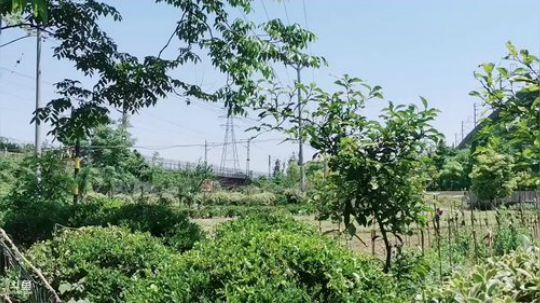 今天去萧山给你们直播，先找路 2019-05-03 12点场