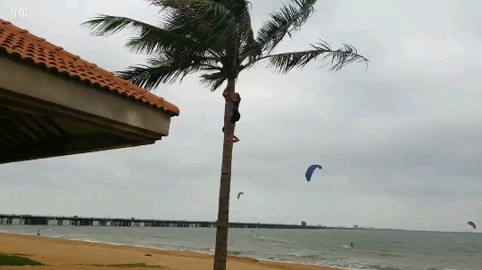 一箭射回发布了一个斗鱼视频2019-05-03
