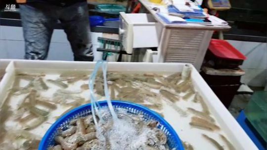 西北老狼哥哥发布了一个斗鱼视频2019-05-03