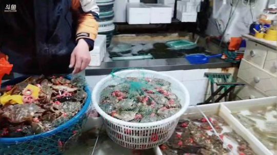 西北老狼哥哥发布了一个斗鱼视频2019-05-03