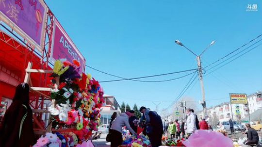 大家早上好，花季倒计时第四天。 2019-05-04 11点场