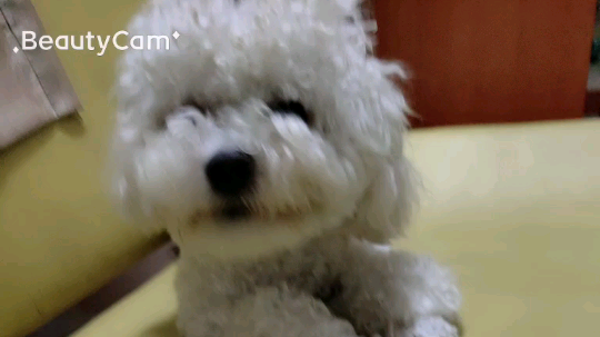 南舞丶村里最靓的仔发布了一个斗鱼视频2019-05-05