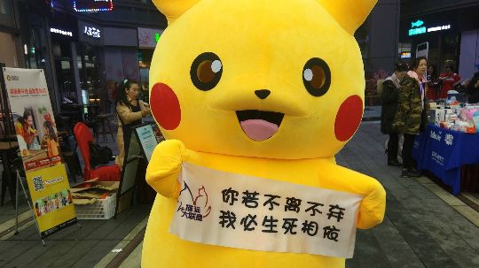 第16期领养宣传活动