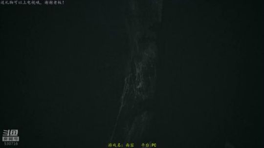 逍遥：恐怖游戏连播！让你心跳加速的直播！ 2019-05-05 23点场