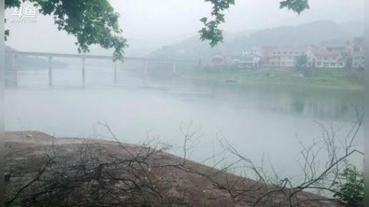 180斤鱼货已完成136斤第四天， 2019-05-06 07点场