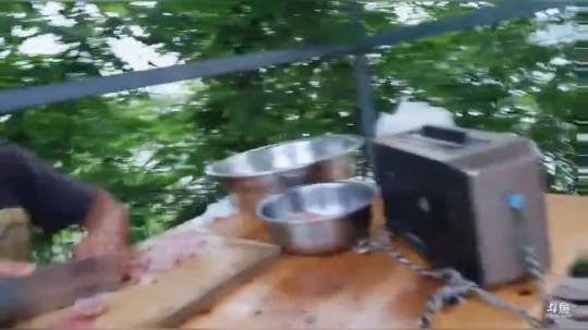 信阳向桥水库抓鱼 2019-04-30 17点场