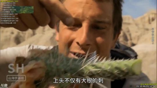 护法惊丶发布了一个斗鱼视频2019-05-06